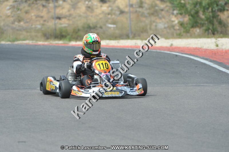 DSC (3284).JPG